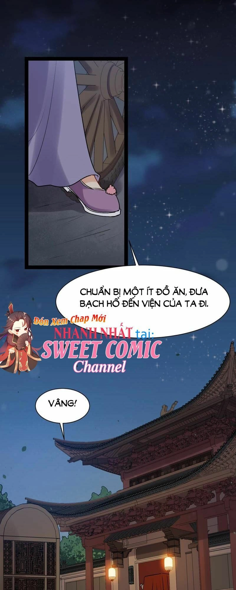 Thịnh Sủng Kiều Nữ Trở Về Triều Ca Chapter 38 - 11