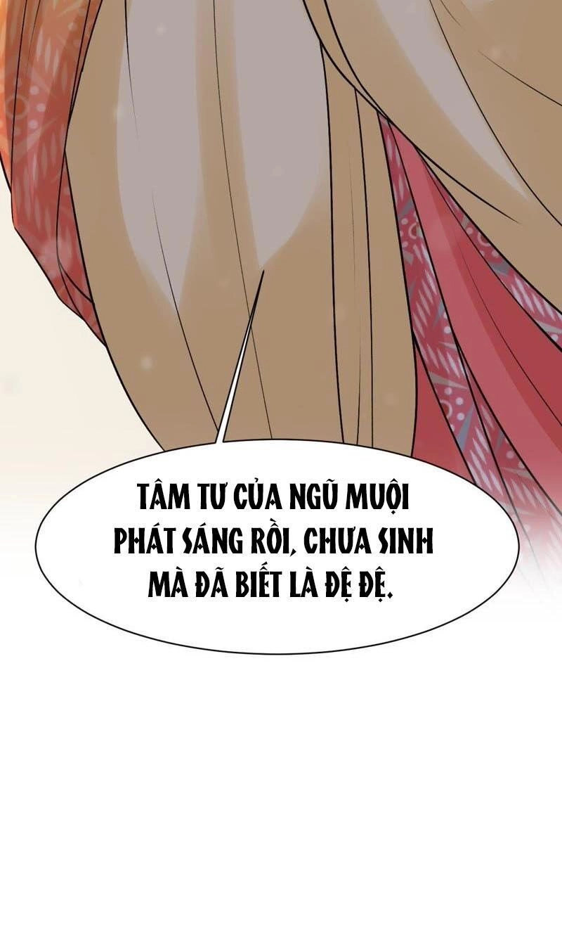 Thịnh Sủng Kiều Nữ Trở Về Triều Ca Chapter 42 - 28