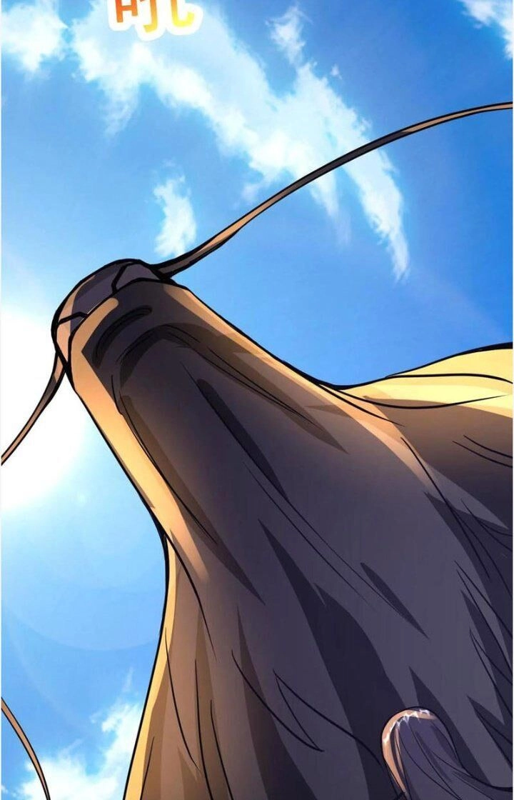 Vô Địch Đốn Ngộ Chapter 61 - 13