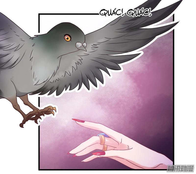 Giữ Chặt Tiểu Bạch Long Chapter 21 - 34