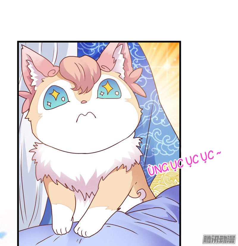 Giữ Chặt Tiểu Bạch Long Chapter 27 - 57