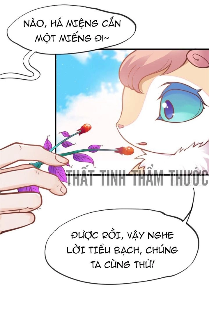 Giữ Chặt Tiểu Bạch Long Chapter 31 - 11