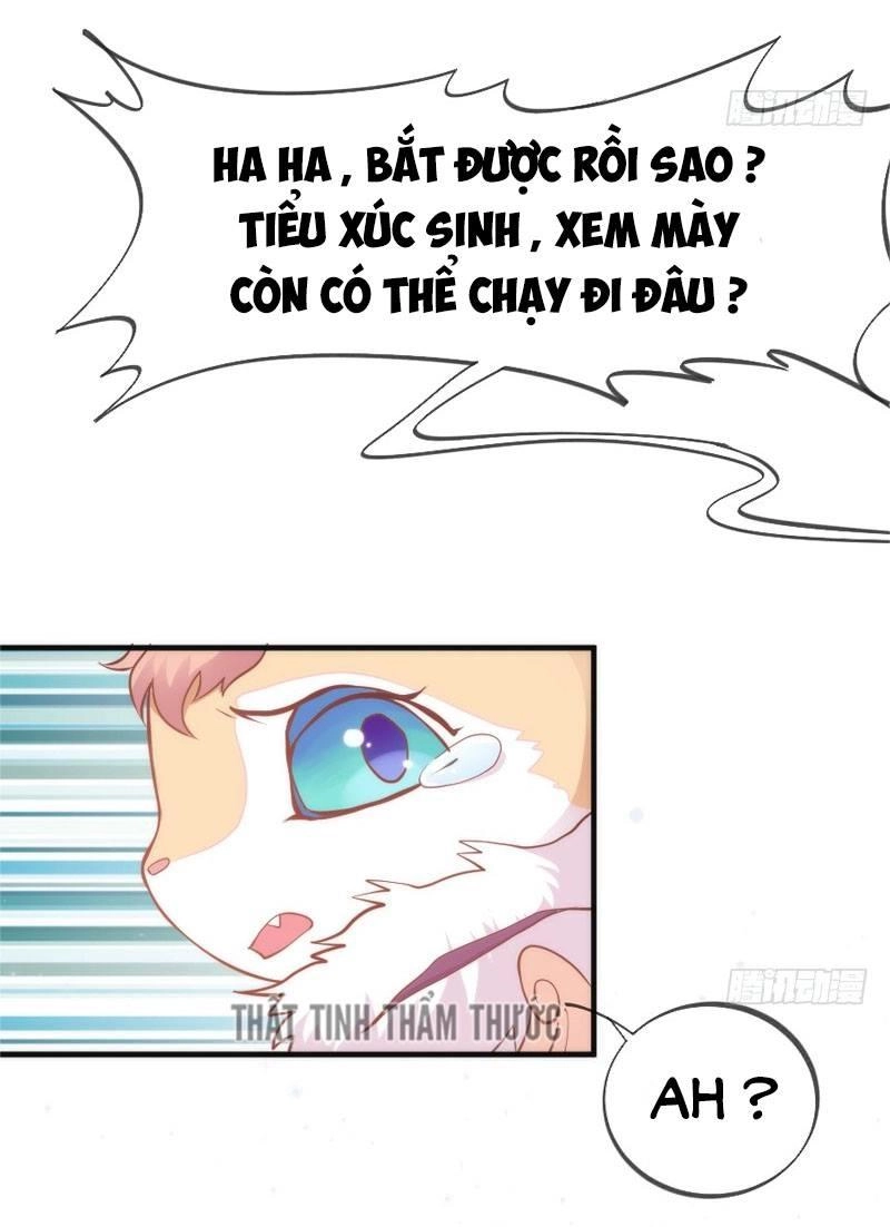 Giữ Chặt Tiểu Bạch Long Chapter 43 - 19