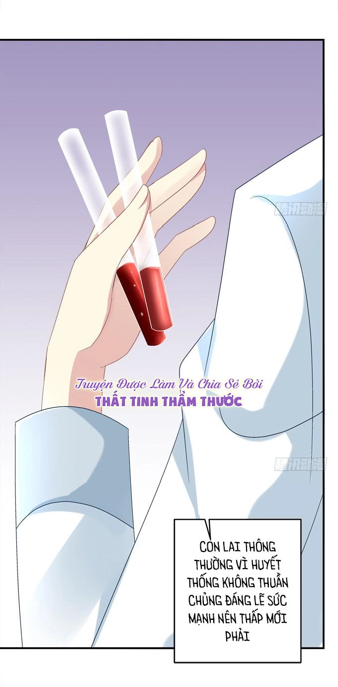 Đế Vương Ta Vẫn Còn Nhỏ Chapter 26 - 25