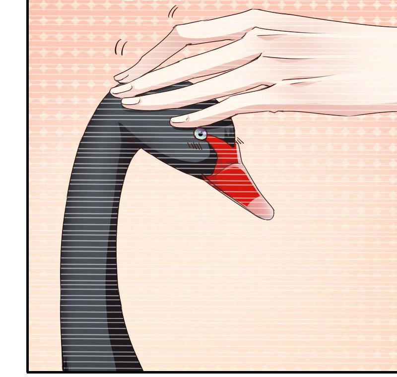 Bay Qua Thiên Sơn Đến Yêu Anh Chapter 7 - 35