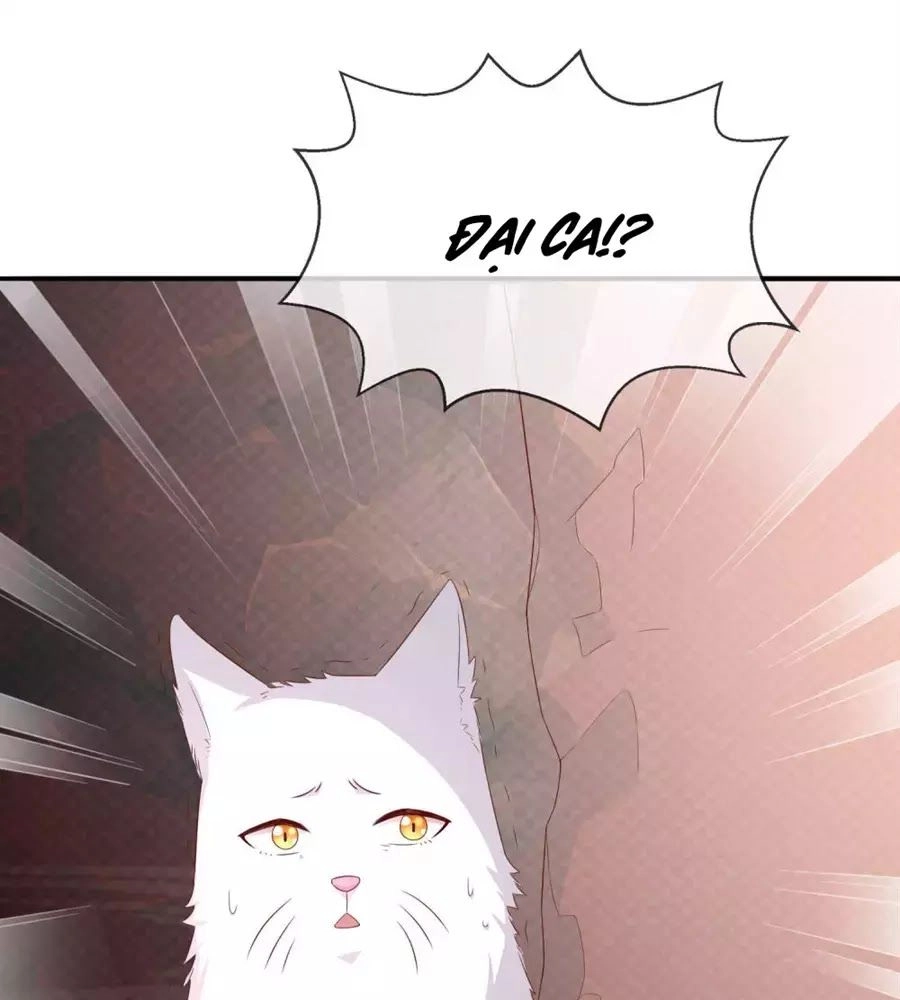 Cuộc Sống Hào Môn Của Vu Nữ Chapter 43 - 88