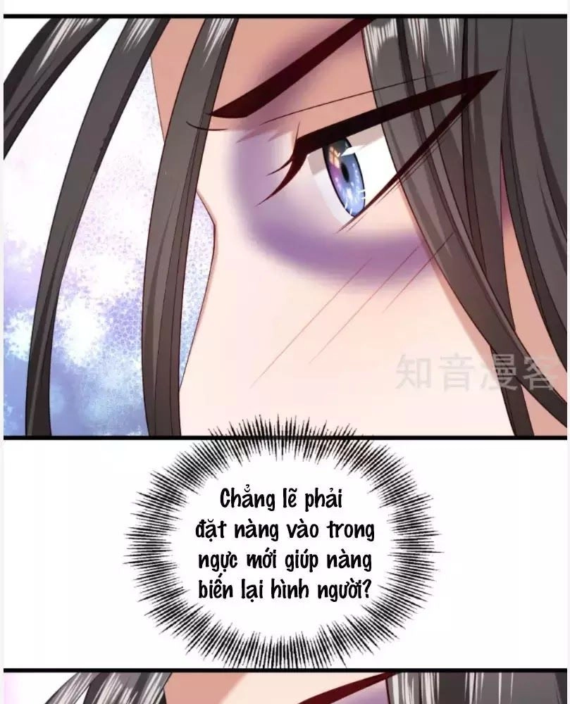 Tiểu Hoàng Thư Và Tiểu Hoàng Thúc Chapter 55 - 17