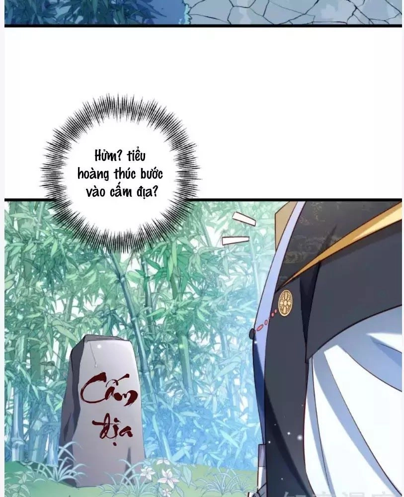 Tiểu Hoàng Thư Và Tiểu Hoàng Thúc Chapter 55 - 35