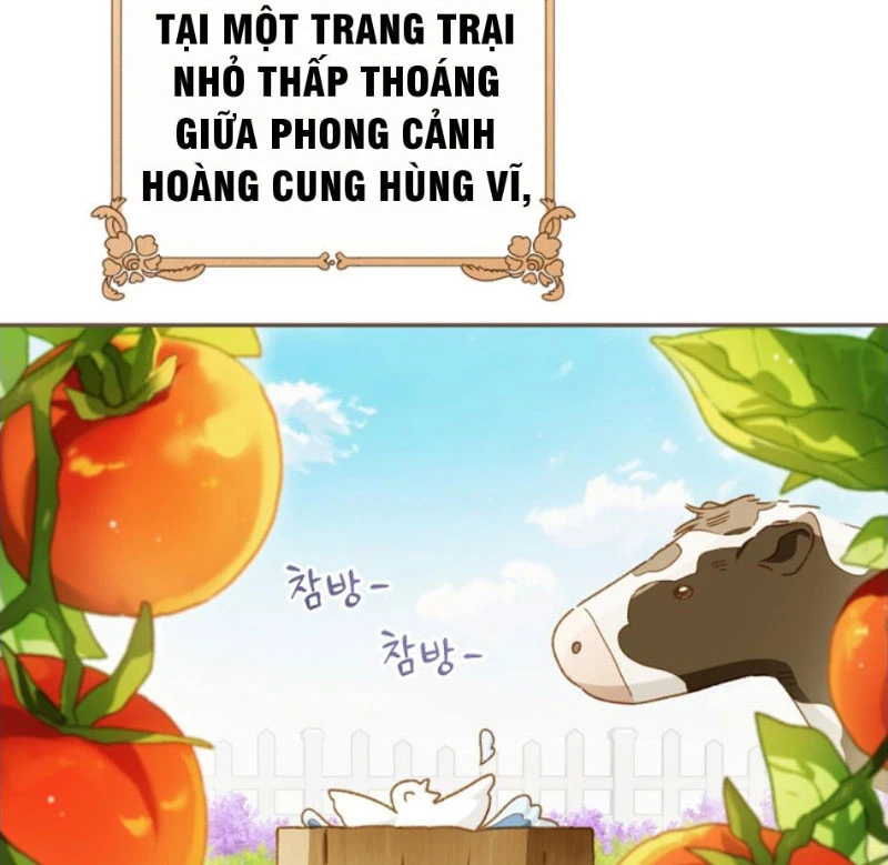 Trang Trại Hạt Dẻ Gần Cung Điện Hoàng Gia Chapter 125 - 11