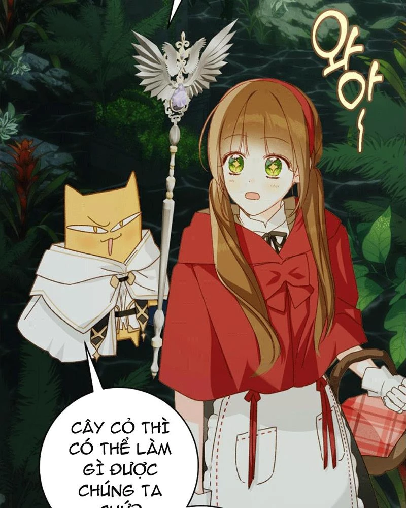 Trang Trại Hạt Dẻ Gần Cung Điện Hoàng Gia Chapter 126 - 56