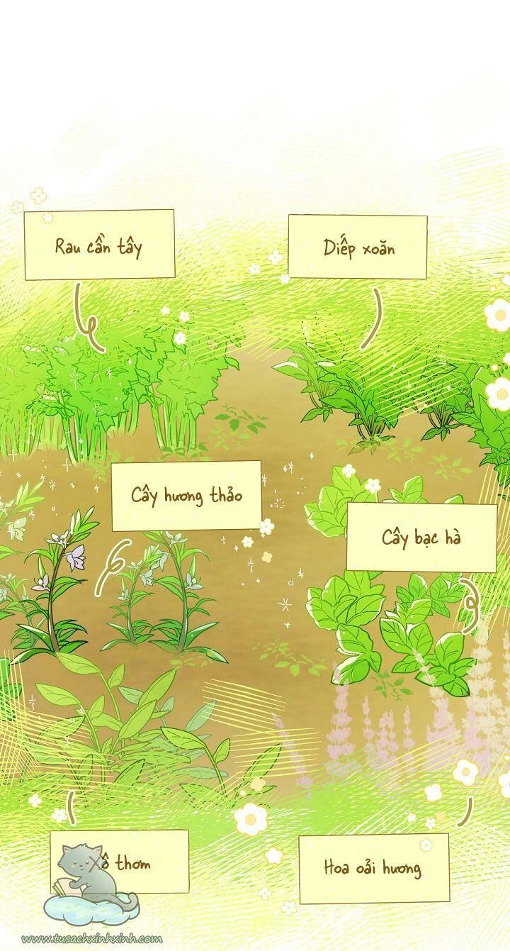 Trang Trại Hạt Dẻ Gần Cung Điện Hoàng Gia Chapter 4 - 13