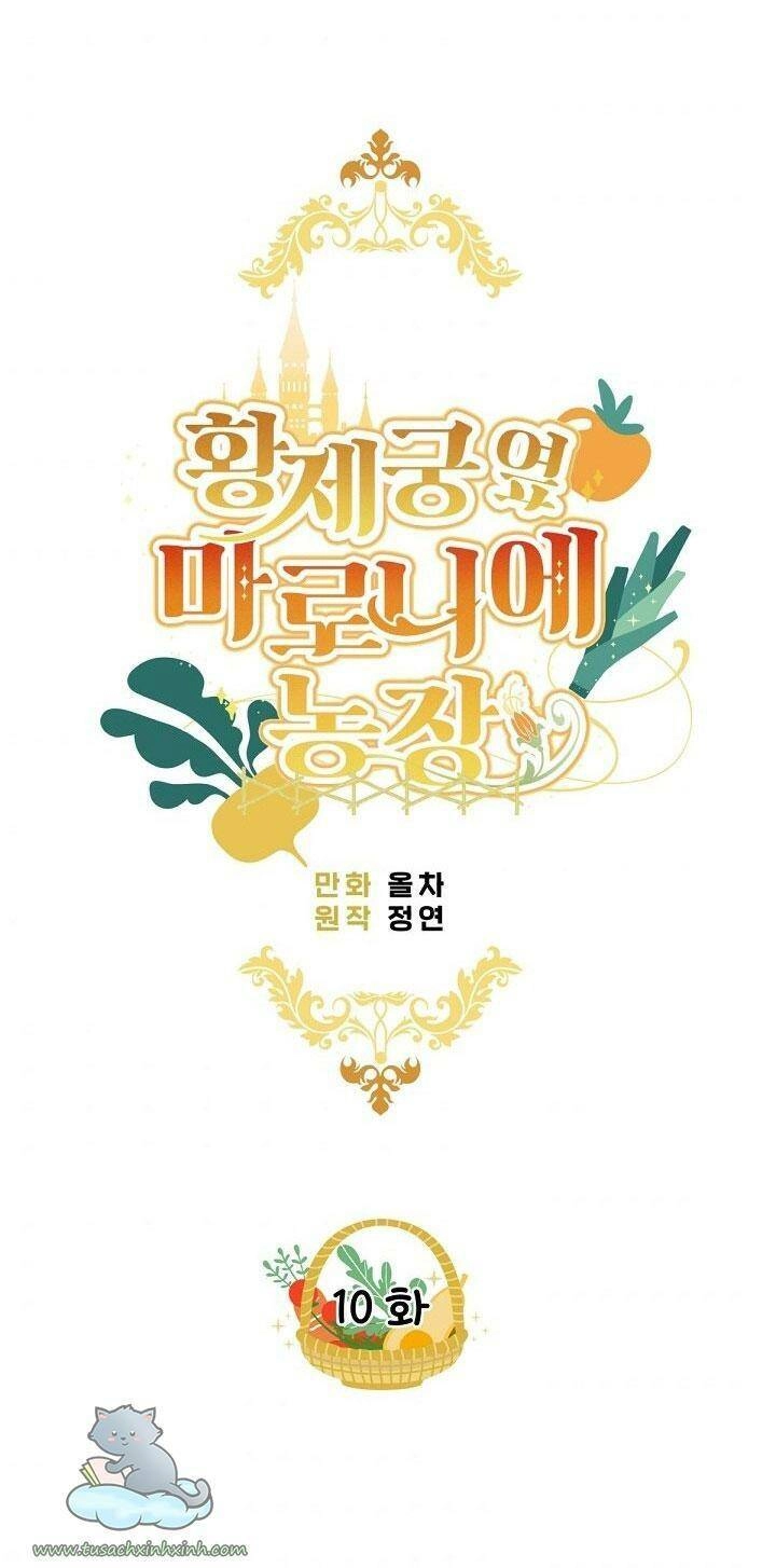 Trang Trại Hạt Dẻ Gần Cung Điện Hoàng Gia Chapter 10 - 7