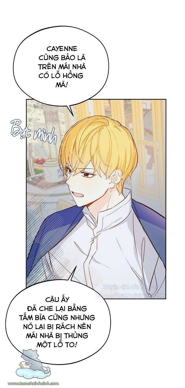 Trang Trại Hạt Dẻ Gần Cung Điện Hoàng Gia Chapter 14 - 8