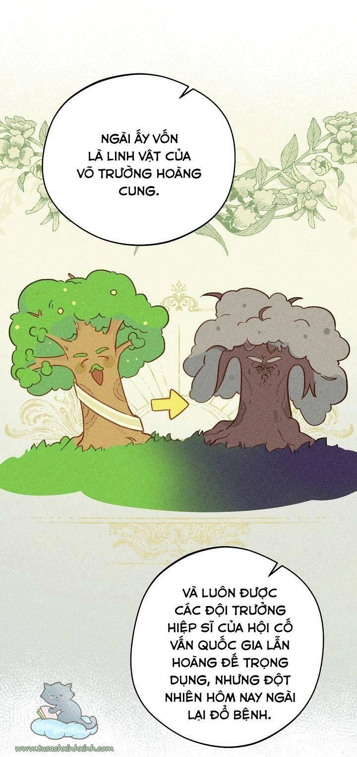 Trang Trại Hạt Dẻ Gần Cung Điện Hoàng Gia Chapter 15 - 51