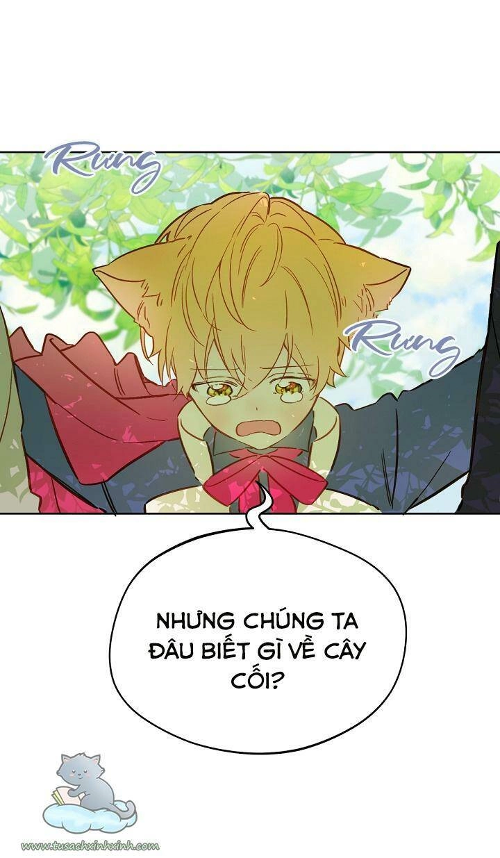 Trang Trại Hạt Dẻ Gần Cung Điện Hoàng Gia Chapter 15 - 58