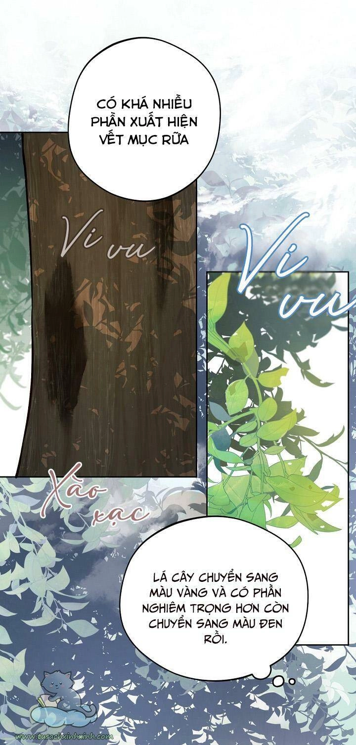 Trang Trại Hạt Dẻ Gần Cung Điện Hoàng Gia Chapter 15 - 65