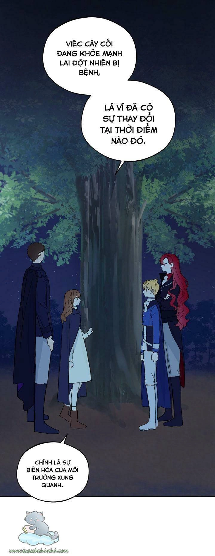 Trang Trại Hạt Dẻ Gần Cung Điện Hoàng Gia Chapter 17 - 4