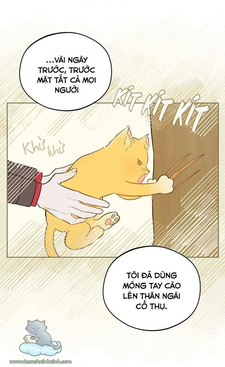 Trang Trại Hạt Dẻ Gần Cung Điện Hoàng Gia Chapter 17 - 7