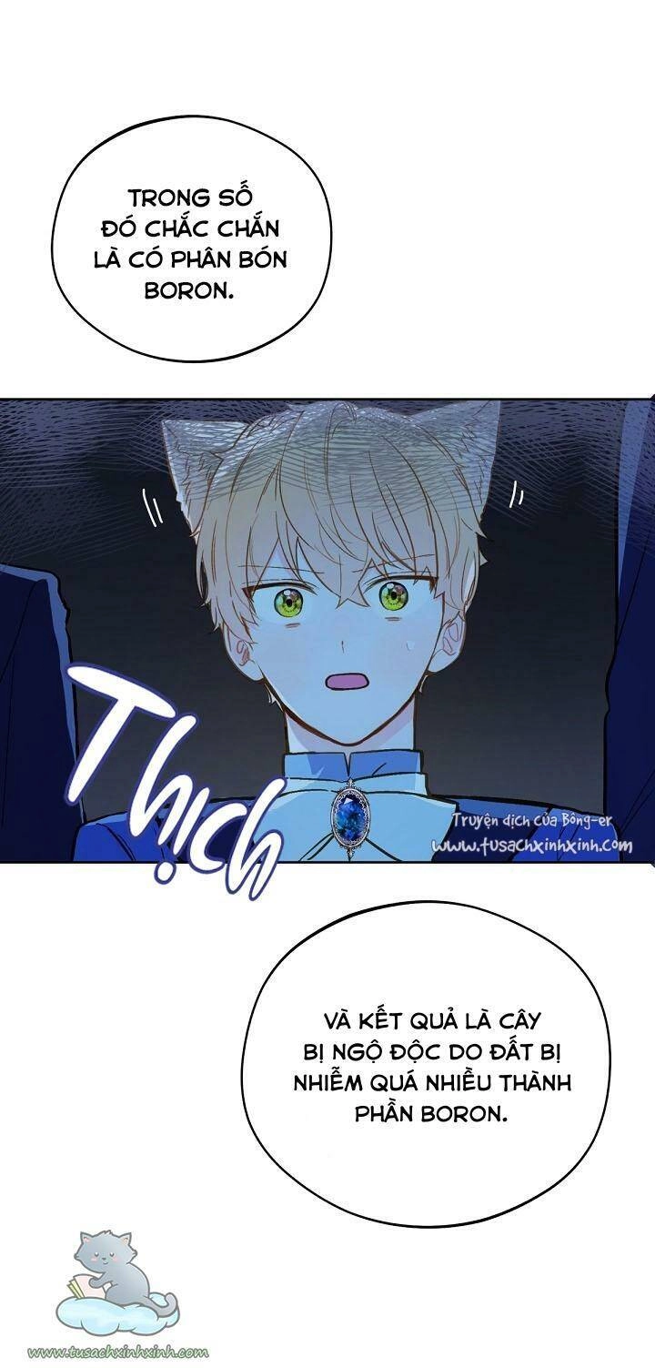 Trang Trại Hạt Dẻ Gần Cung Điện Hoàng Gia Chapter 17 - 20