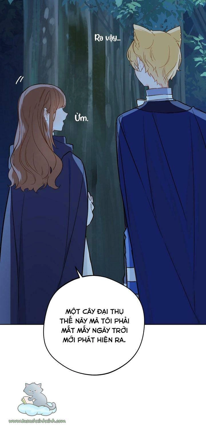 Trang Trại Hạt Dẻ Gần Cung Điện Hoàng Gia Chapter 17 - 23