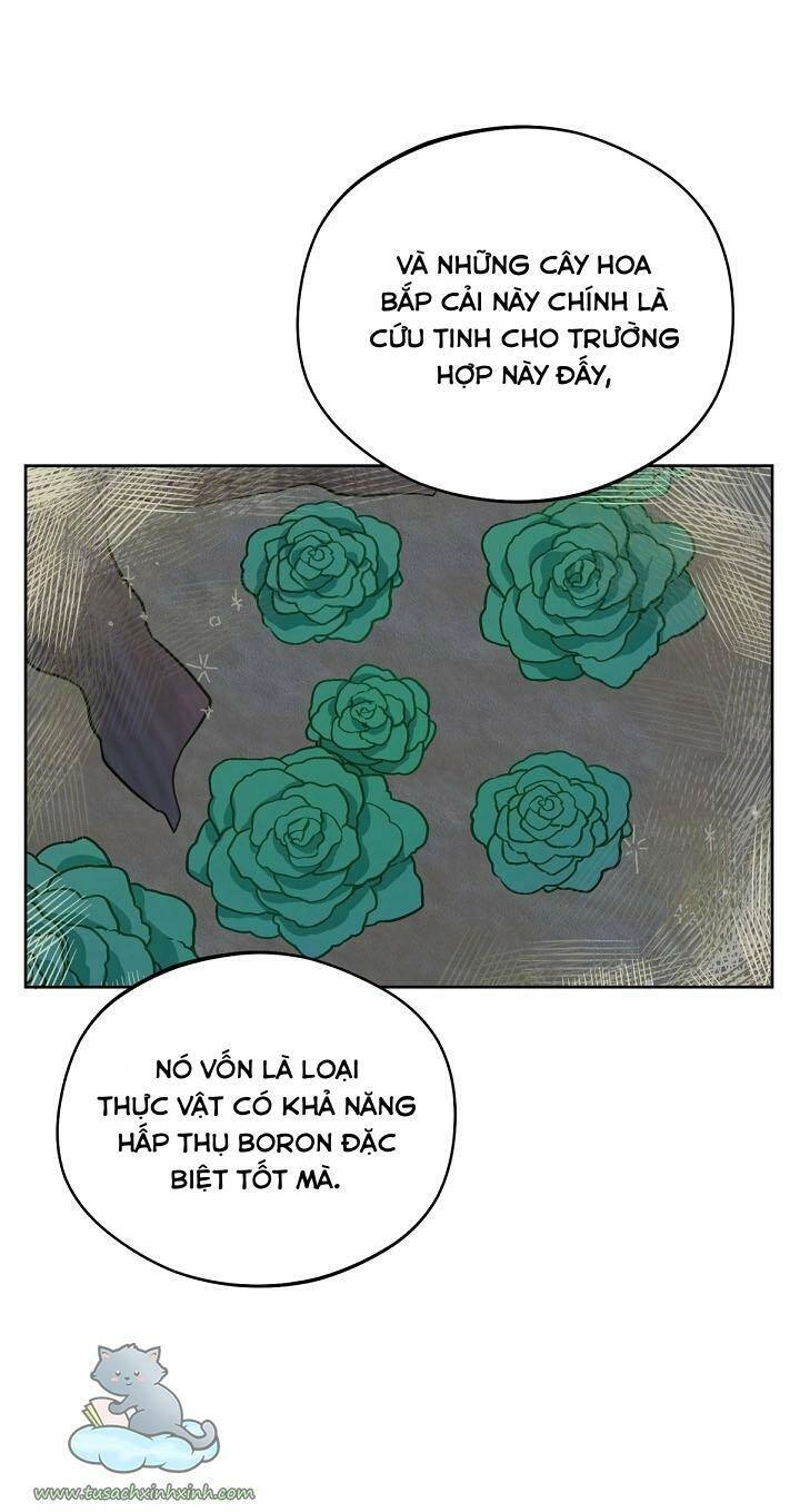 Trang Trại Hạt Dẻ Gần Cung Điện Hoàng Gia Chapter 17 - 26