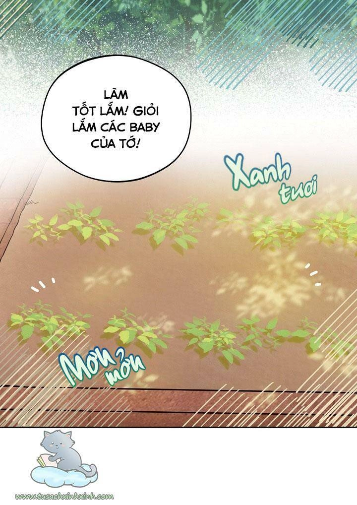 Trang Trại Hạt Dẻ Gần Cung Điện Hoàng Gia Chapter 17 - 46