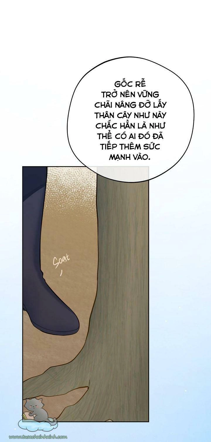 Trang Trại Hạt Dẻ Gần Cung Điện Hoàng Gia Chapter 17 - 52