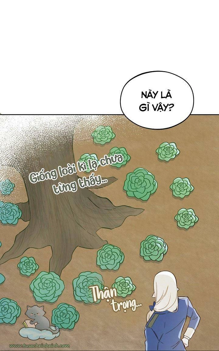 Trang Trại Hạt Dẻ Gần Cung Điện Hoàng Gia Chapter 17 - 55