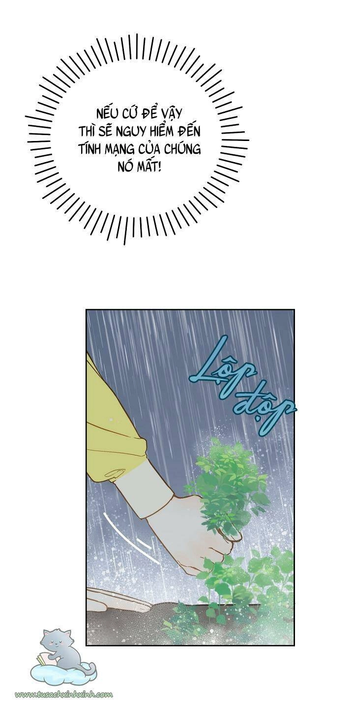 Trang Trại Hạt Dẻ Gần Cung Điện Hoàng Gia Chapter 18 - 76