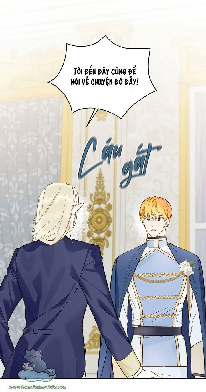 Trang Trại Hạt Dẻ Gần Cung Điện Hoàng Gia Chapter 20 - 12