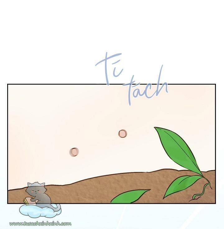 Trang Trại Hạt Dẻ Gần Cung Điện Hoàng Gia Chapter 20 - 52