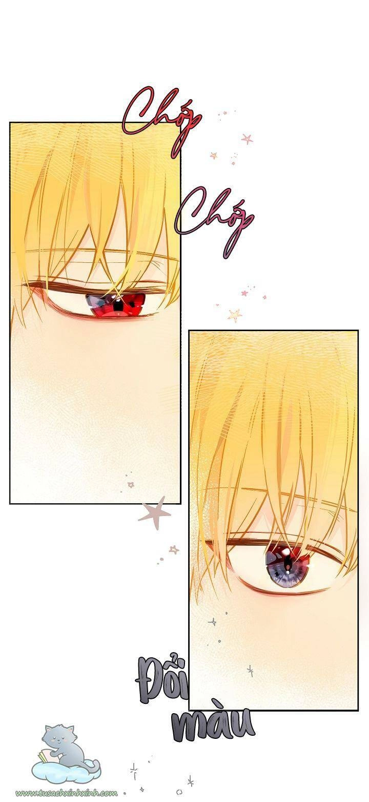 Trang Trại Hạt Dẻ Gần Cung Điện Hoàng Gia Chapter 22 - 48