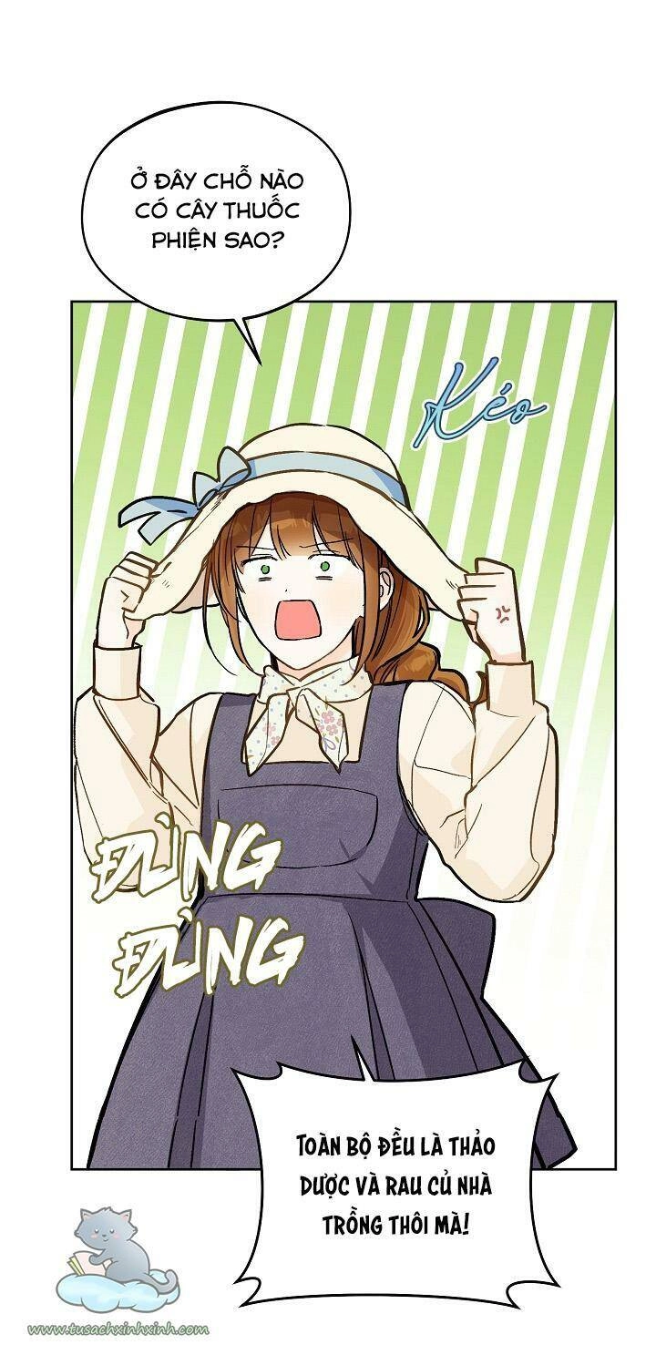 Trang Trại Hạt Dẻ Gần Cung Điện Hoàng Gia Chapter 23 - 34