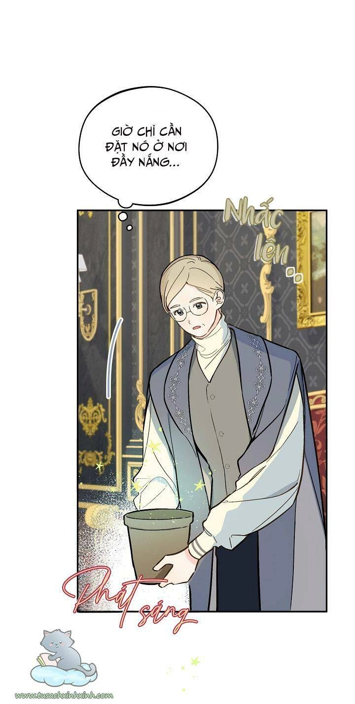 Trang Trại Hạt Dẻ Gần Cung Điện Hoàng Gia Chapter 24 - 22