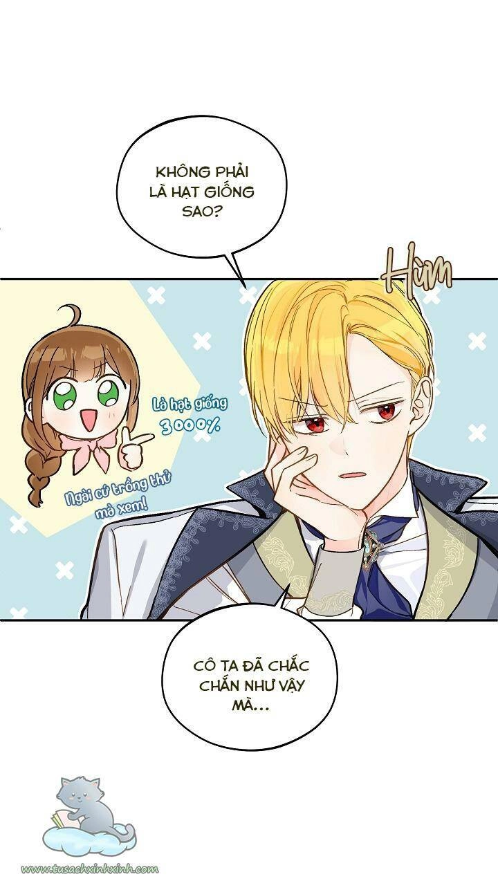 Trang Trại Hạt Dẻ Gần Cung Điện Hoàng Gia Chapter 24 - 28