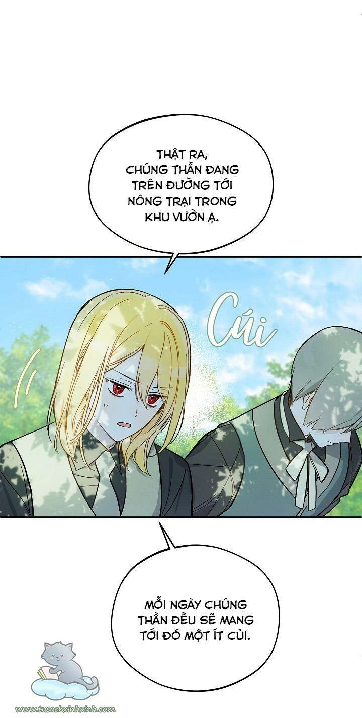 Trang Trại Hạt Dẻ Gần Cung Điện Hoàng Gia Chapter 24 - 46