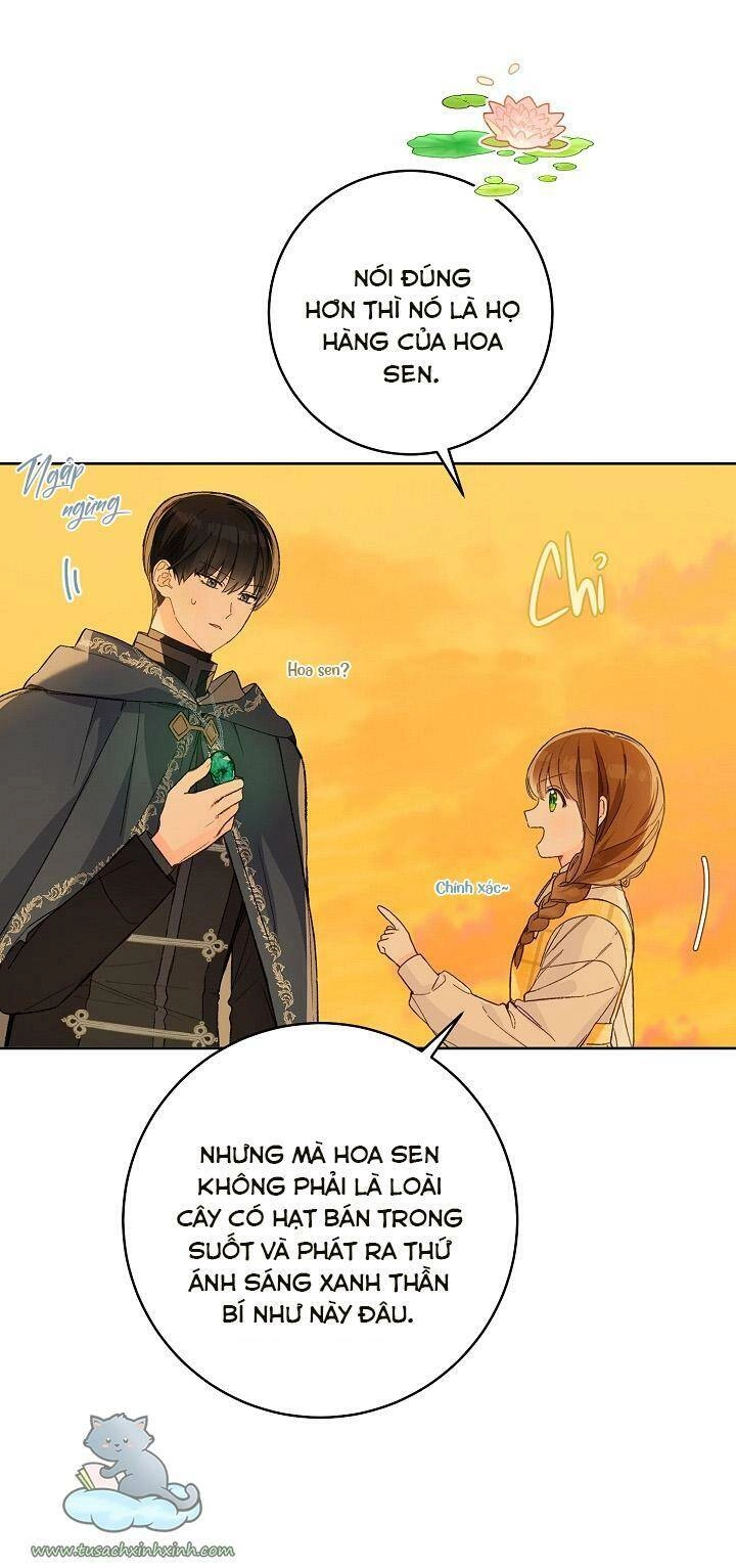 Trang Trại Hạt Dẻ Gần Cung Điện Hoàng Gia Chapter 25 - 10