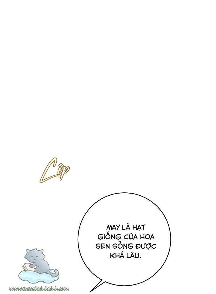 Trang Trại Hạt Dẻ Gần Cung Điện Hoàng Gia Chapter 25 - 19