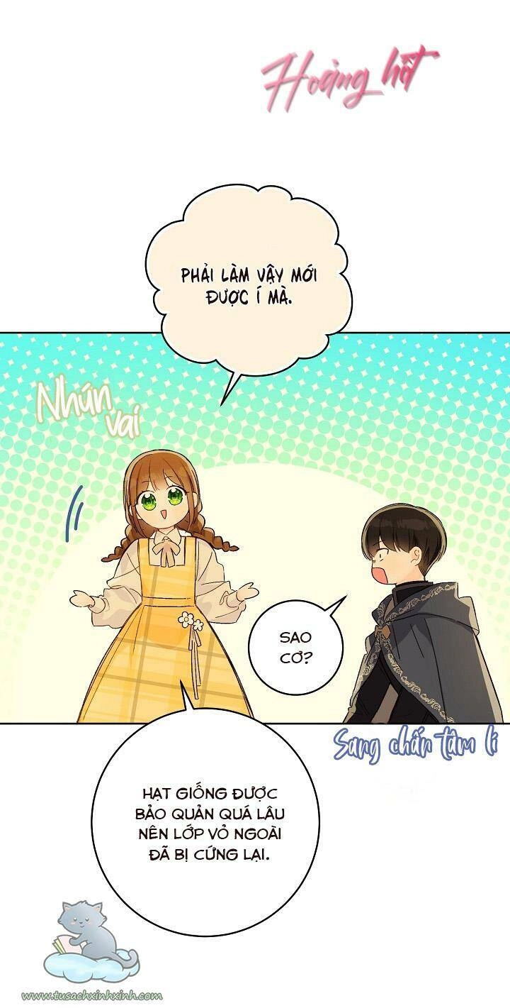 Trang Trại Hạt Dẻ Gần Cung Điện Hoàng Gia Chapter 25 - 24