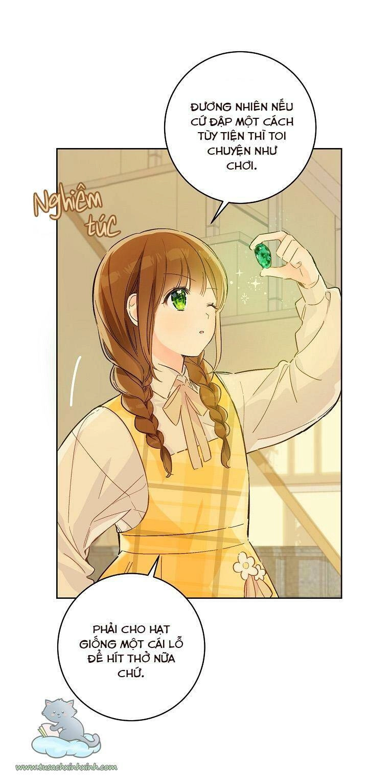 Trang Trại Hạt Dẻ Gần Cung Điện Hoàng Gia Chapter 25 - 25