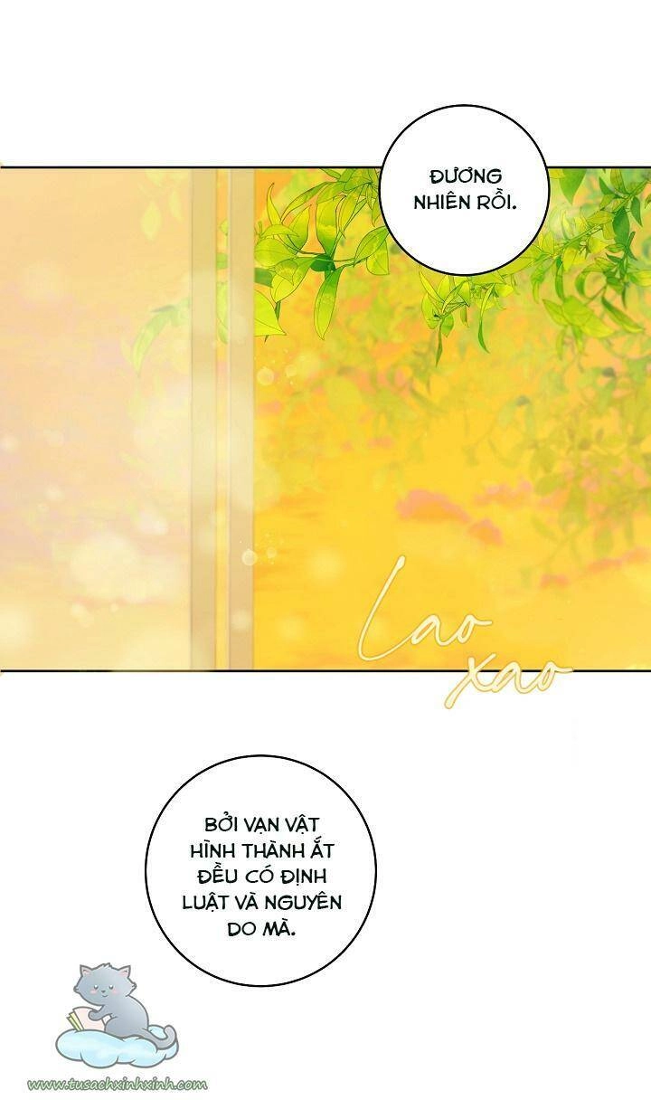 Trang Trại Hạt Dẻ Gần Cung Điện Hoàng Gia Chapter 25 - 44