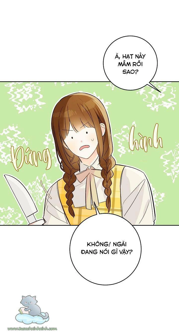 Trang Trại Hạt Dẻ Gần Cung Điện Hoàng Gia Chapter 25 - 60