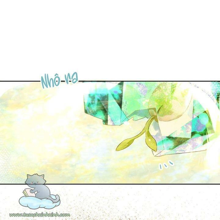 Trang Trại Hạt Dẻ Gần Cung Điện Hoàng Gia Chapter 26 - 52