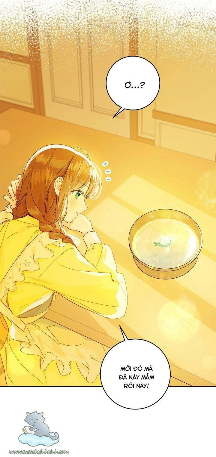 Trang Trại Hạt Dẻ Gần Cung Điện Hoàng Gia Chapter 26 - 53