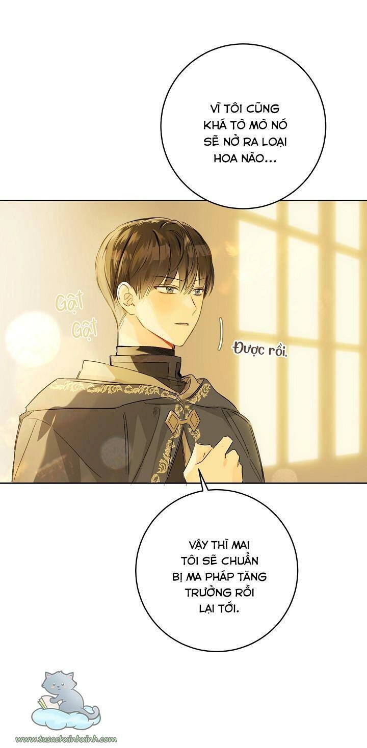 Trang Trại Hạt Dẻ Gần Cung Điện Hoàng Gia Chapter 26 - 78