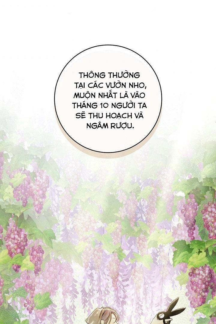 Trang Trại Hạt Dẻ Gần Cung Điện Hoàng Gia Chapter 27 - 72