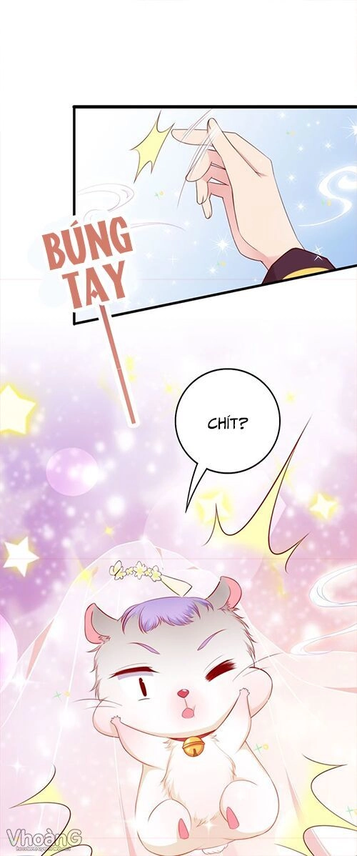 Kế Ước Ngọt Sủng:quốc Dân Lão Công Đích Tiểu Chiếm Giữ Thử Chapter 2 - 6