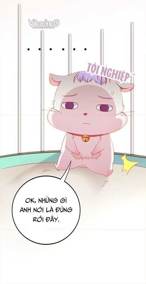 Kế Ước Ngọt Sủng:quốc Dân Lão Công Đích Tiểu Chiếm Giữ Thử Chapter 2 - 11