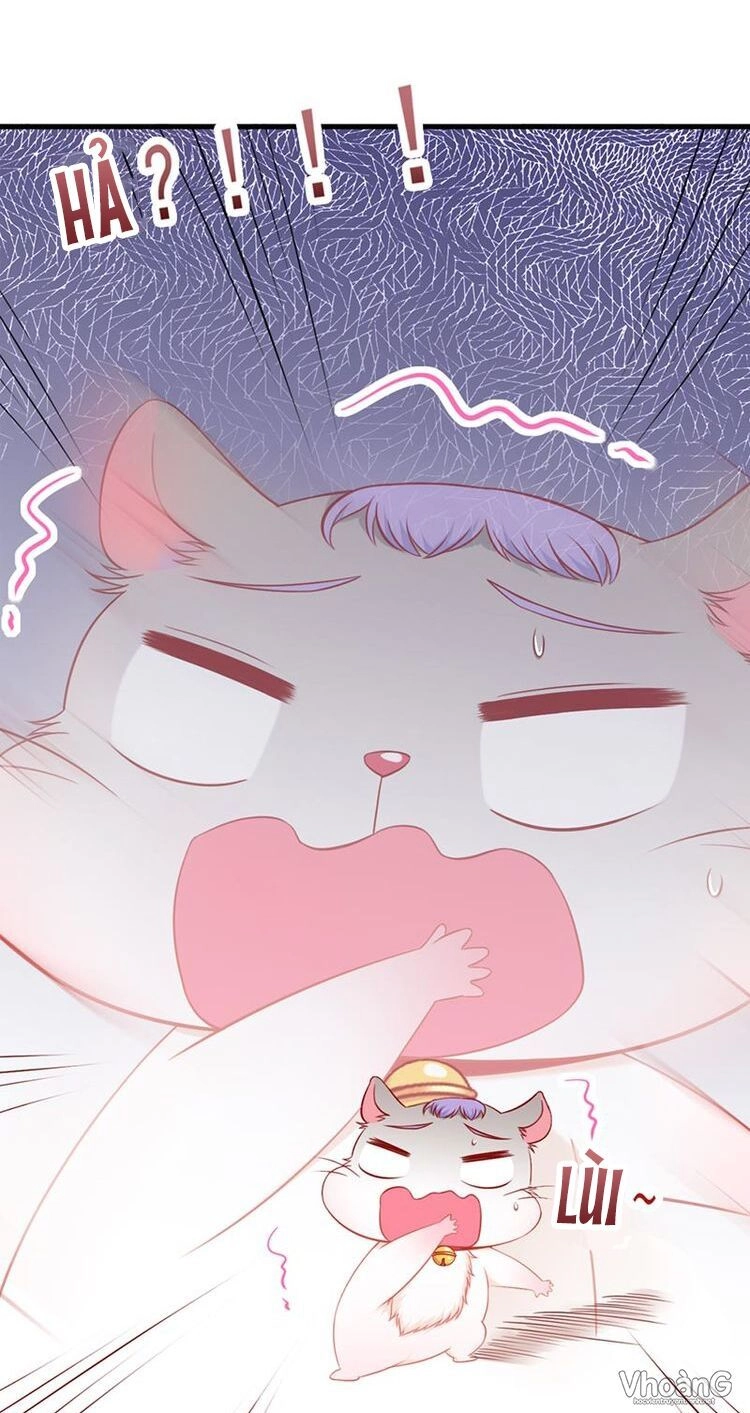 Kế Ước Ngọt Sủng:quốc Dân Lão Công Đích Tiểu Chiếm Giữ Thử Chapter 3 - 6