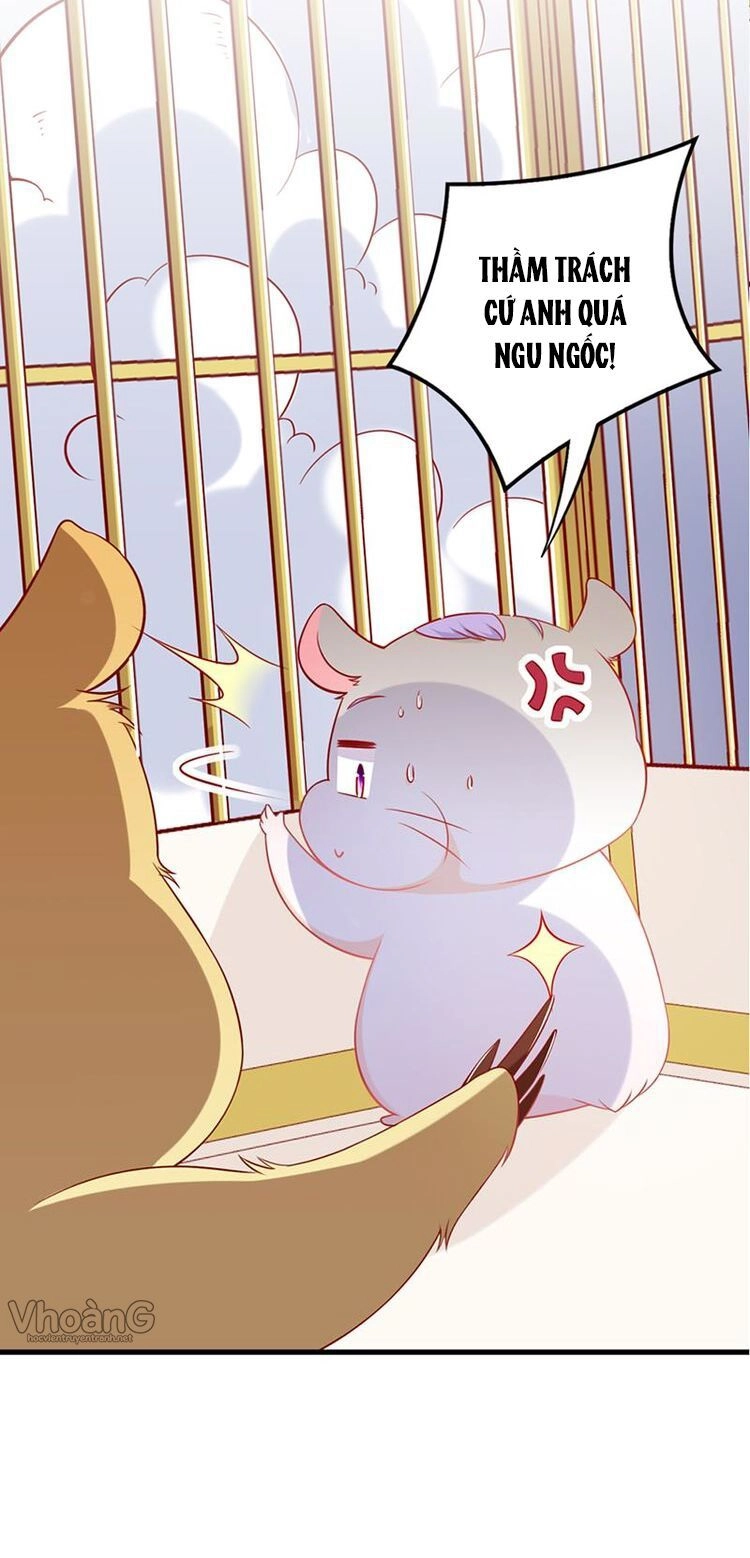 Kế Ước Ngọt Sủng:quốc Dân Lão Công Đích Tiểu Chiếm Giữ Thử Chapter 3 - 14